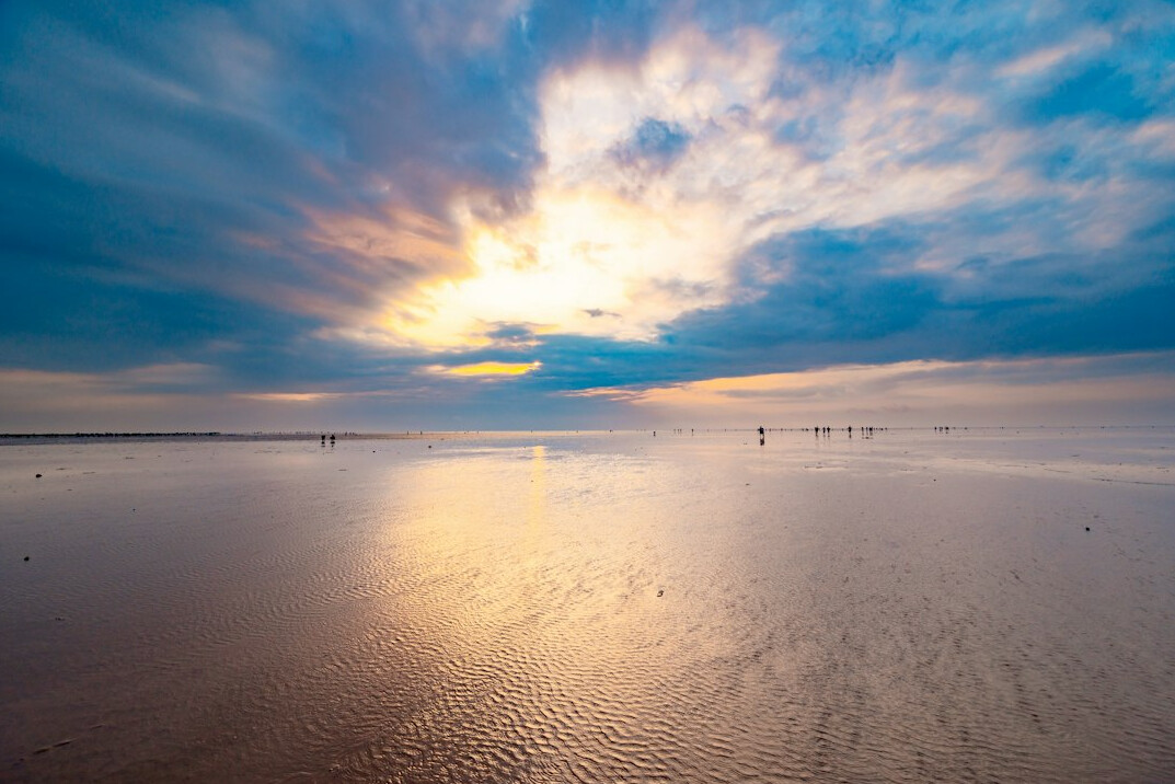 person walking in nature at dawn