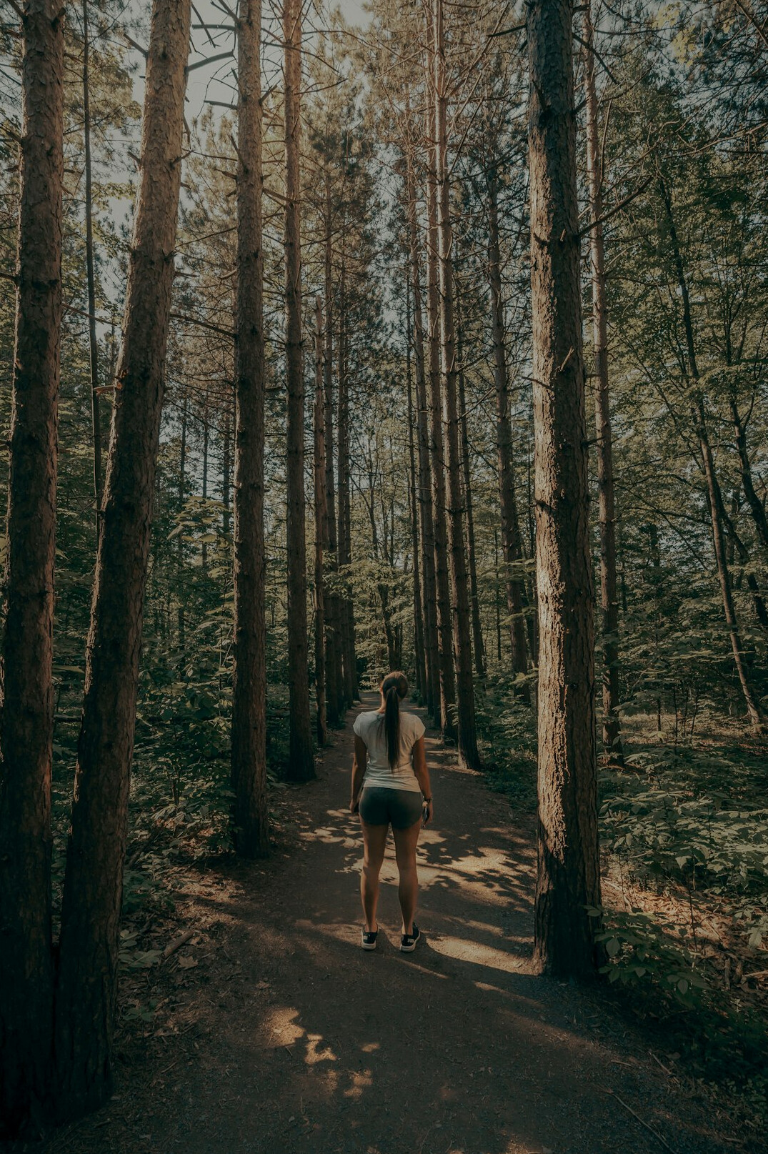 person walking in forest